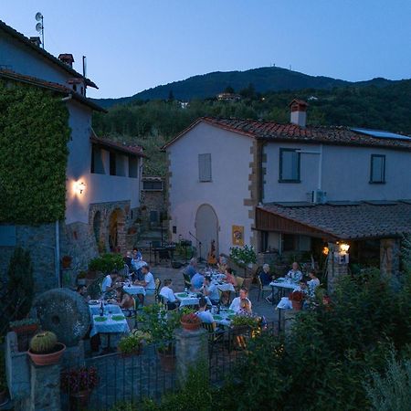 Agriturismo Borgo Mocale Castelfranco di Sopra Luaran gambar
