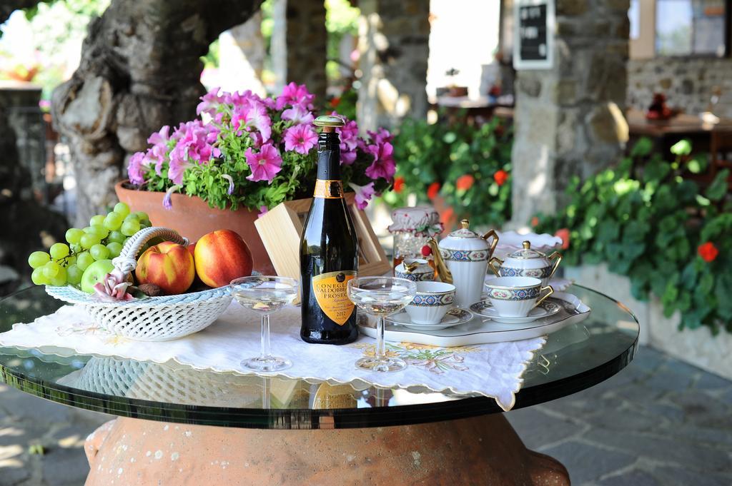 Agriturismo Borgo Mocale Castelfranco di Sopra Luaran gambar